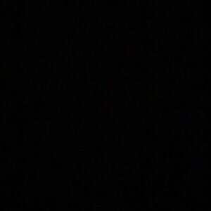 Meet your Posher, Jonas